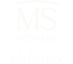 Hotel MS Maestranza | Web Oficial | Hotel de Ciudad en Málaga