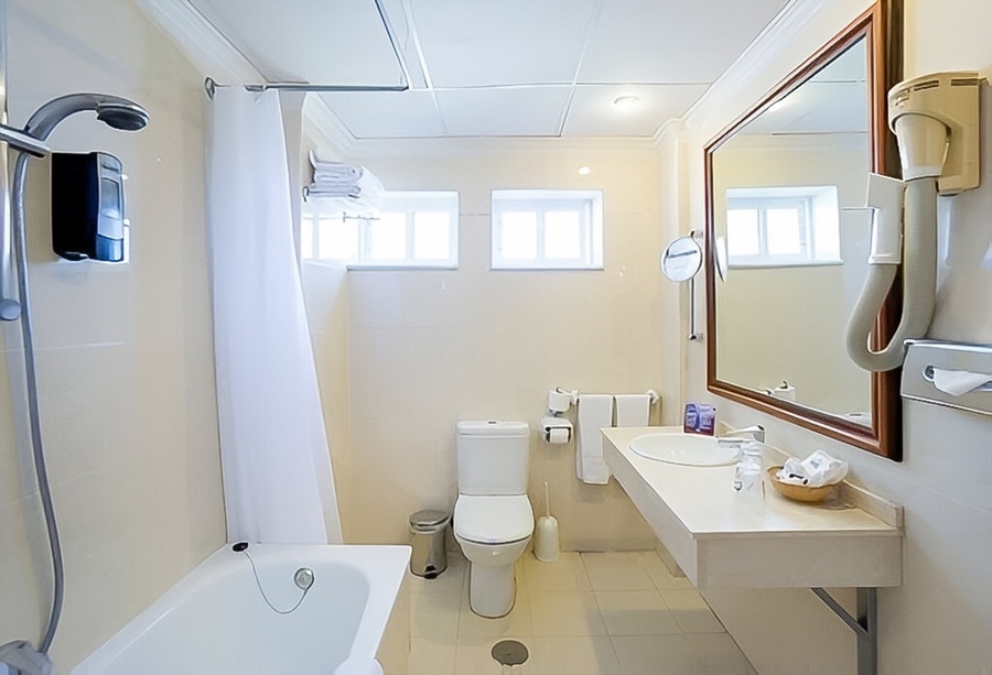 a bathroom with a toilet a sink and a mirror