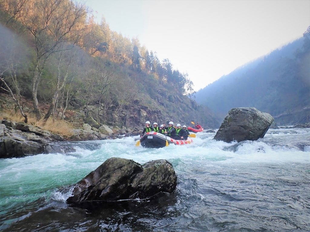 uma sala de jantar com mesas e cadeiras e cortinas verdes