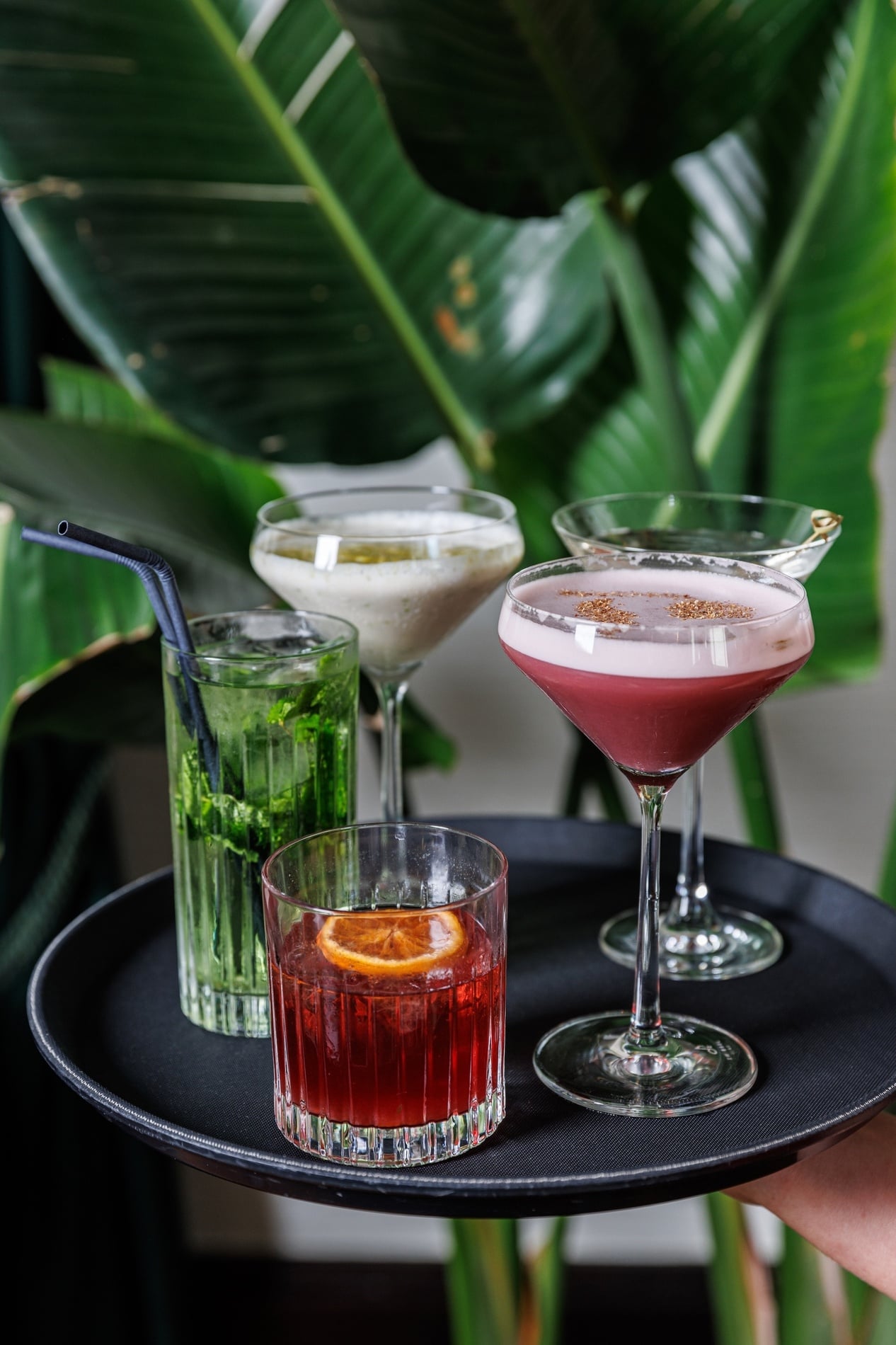 Una bandeja negra contiene cinco cócteles de distintos colores presentados frente a un fondo de follaje verde.