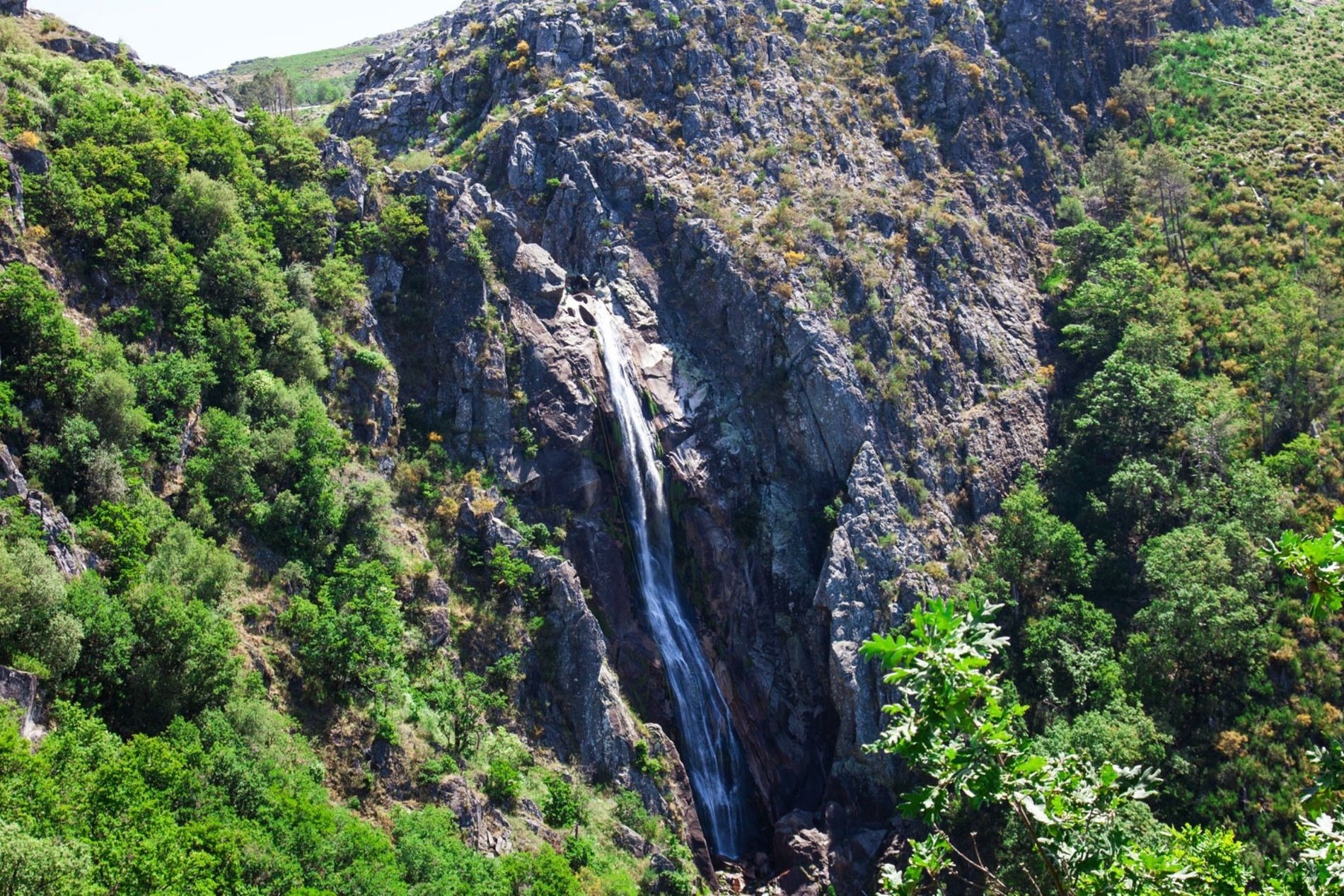 uma cachoeira ao lado de um penhasco cercado por árvores