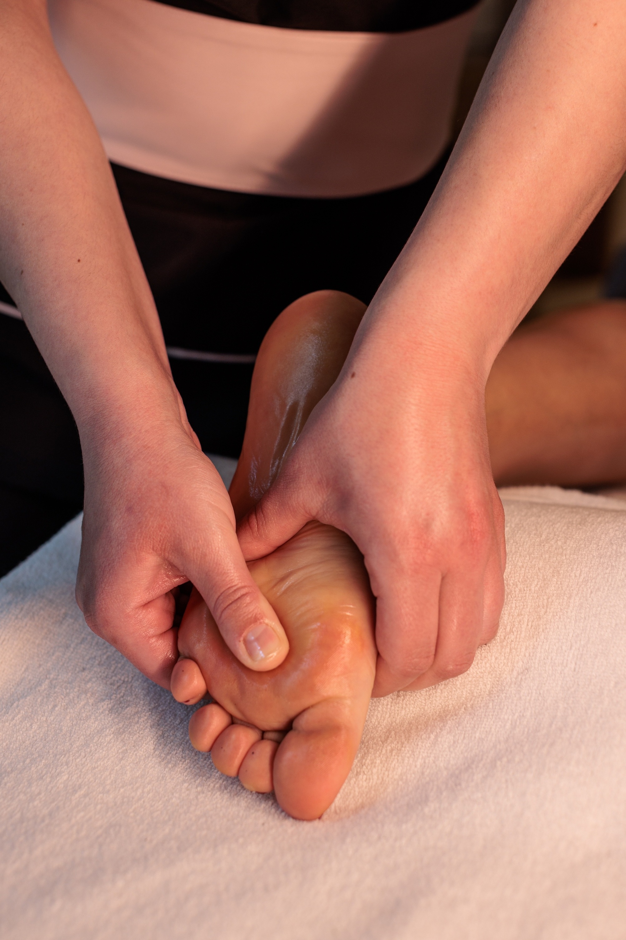 MS Collection Palacete de Valdemouro