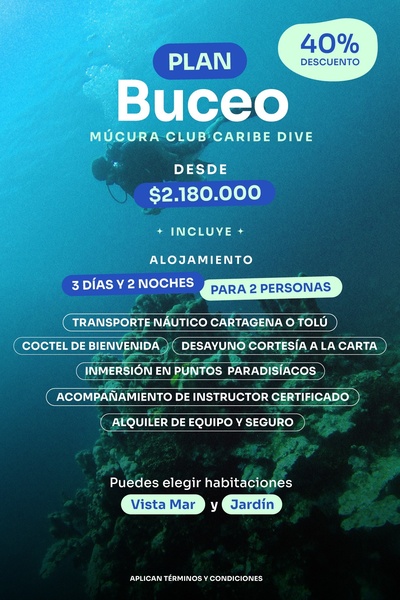 a scuba diver is swimming over a coral reef