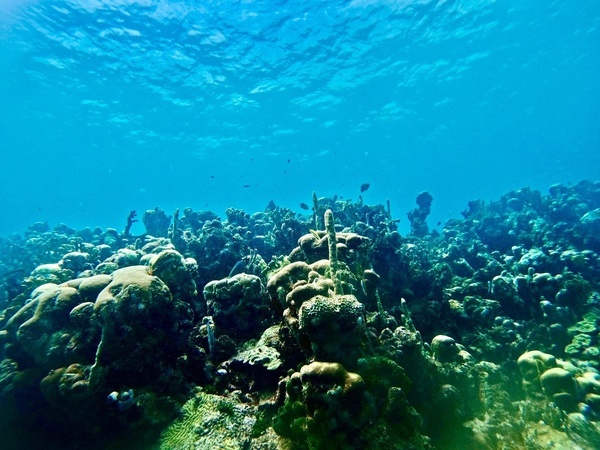 two people wearing life jackets and goggles are swimming in the ocean