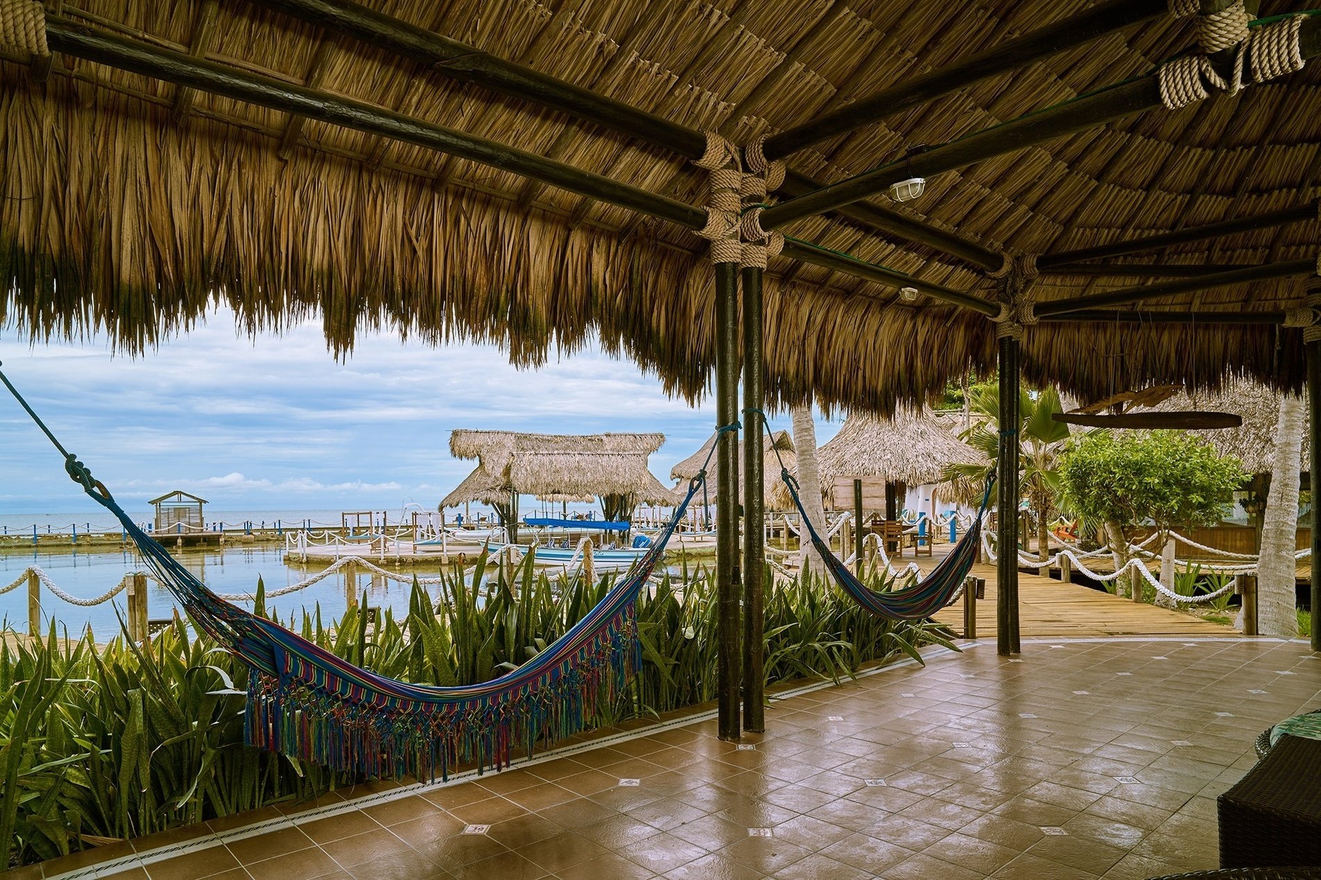 a row of hammocks are hanging under a thatched roof