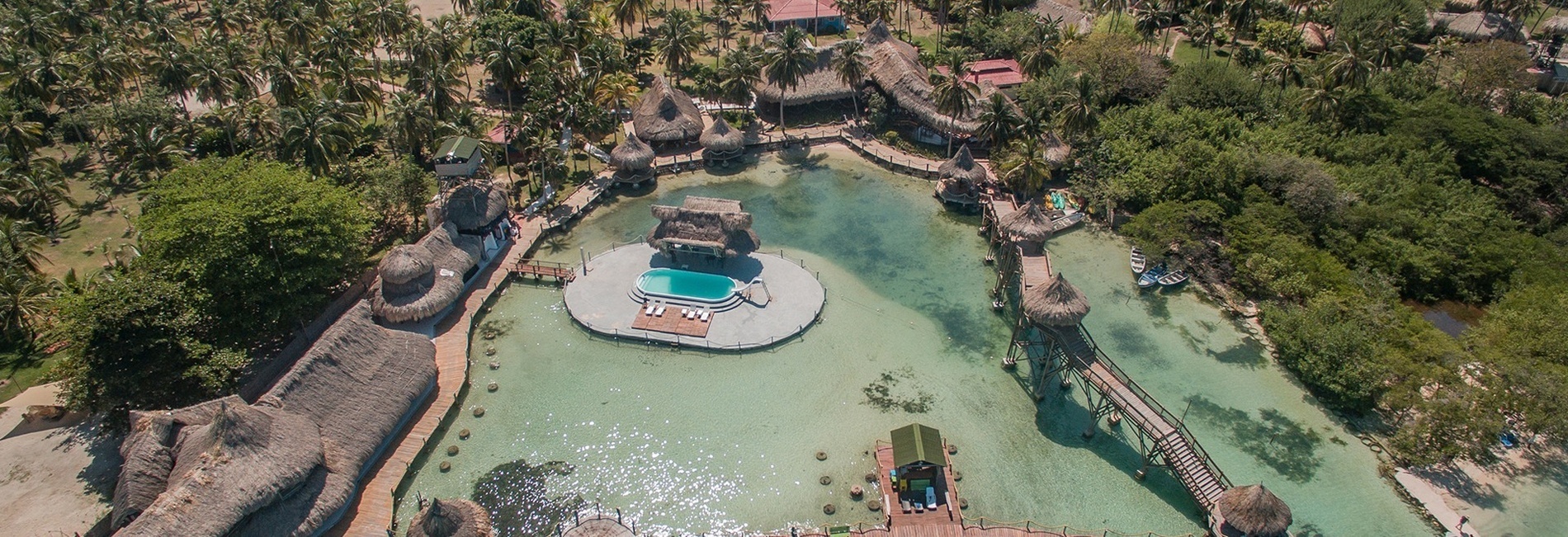 una vista aérea de una piscina rodeada de palmeras