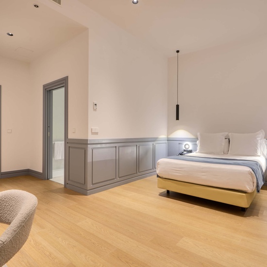 Adapted Double Room