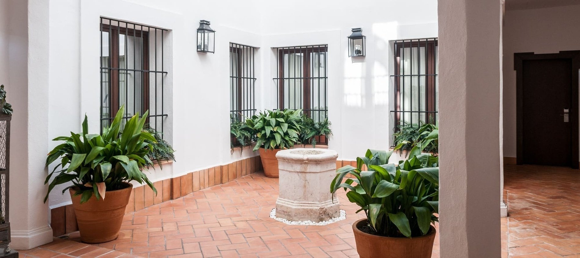 un patio con macetas de plantas y una fuente