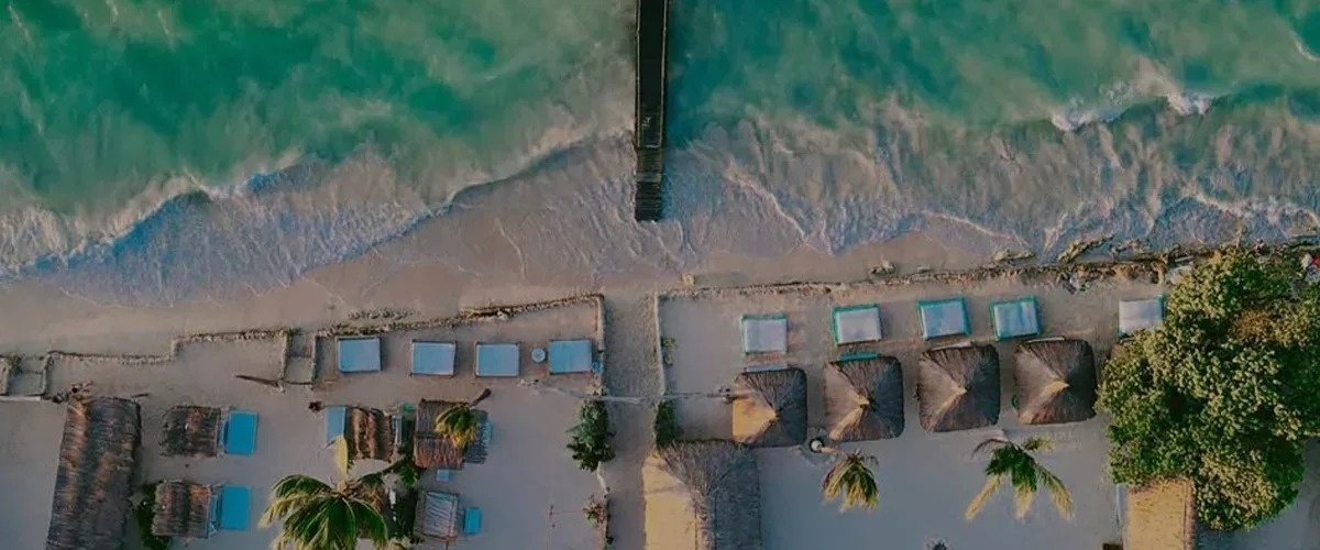 una vista aérea de una playa con palmeras y un muelle .