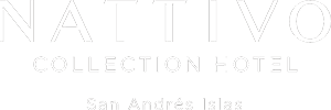 Logo Nattivo Collection Hotel con diseño moderno.