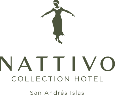 Nattivo Collection Hotel