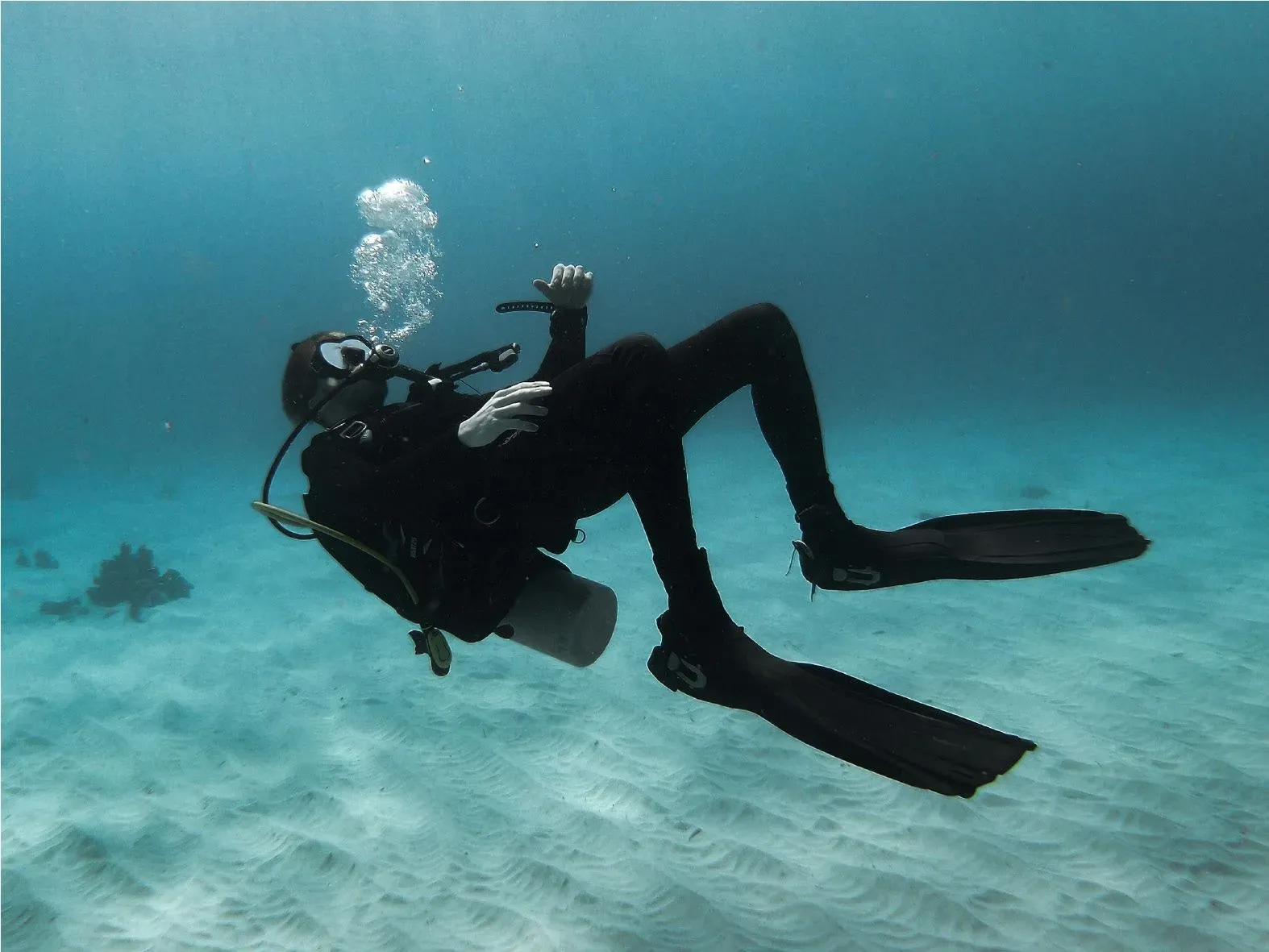 
              Buceo en San Andrés, distintas formas de vivir el mar del Caribe