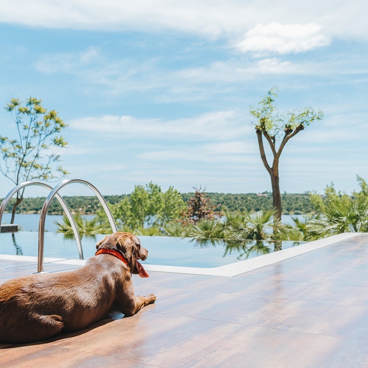 Nau Lago Montargil Villas Alentejo Official Website