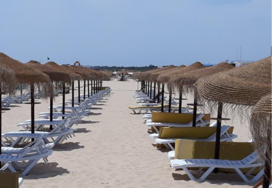 a row of beach chairs and umbrellas on a sandy beach