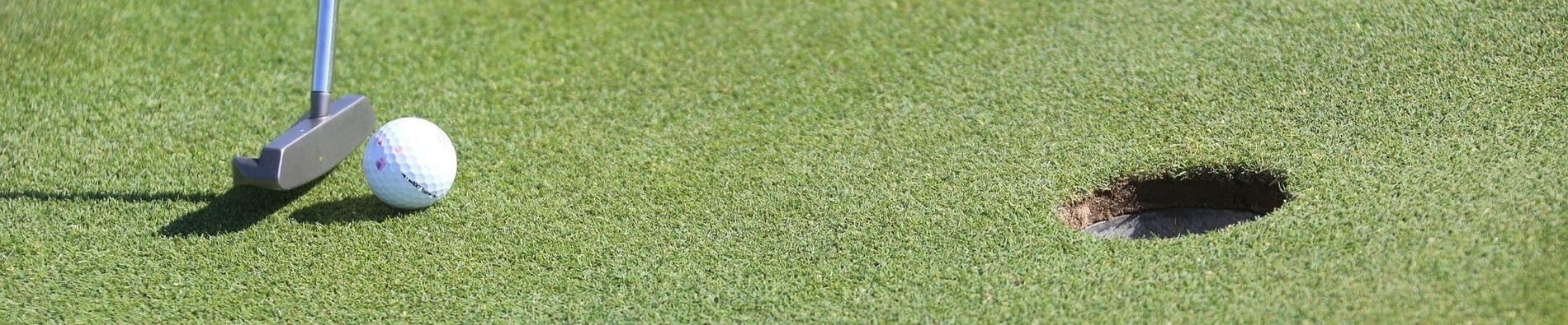 un putter y una pelota de golf están en el agujero en un campo de golf .