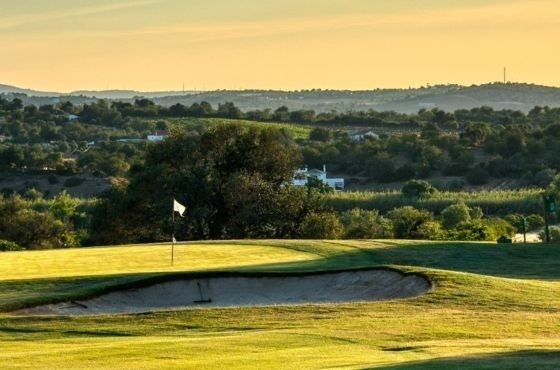 een golfbaan met een bunker en een vlag op de green .