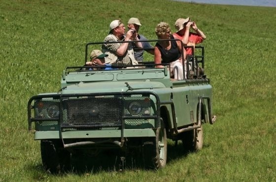 een groep mensen rijdt in een groene jeep door een grasveld .