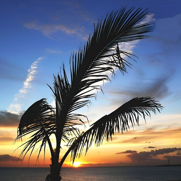 an escalator in front of a building that says plaza del duque