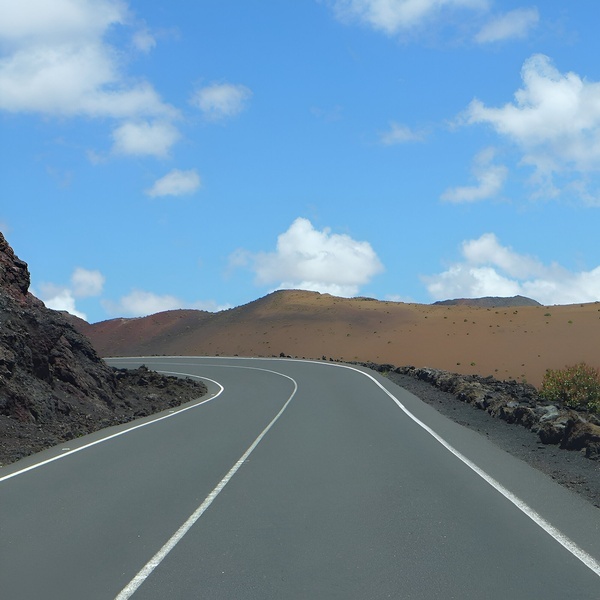 the siam mall has a red flower on it