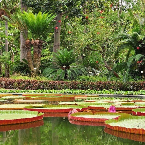 un uomo e una donna giocano a golf in un campo vicino a un lago
