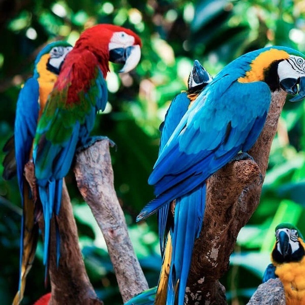 l' edificio della piazza del duque è circondato da scale mobili