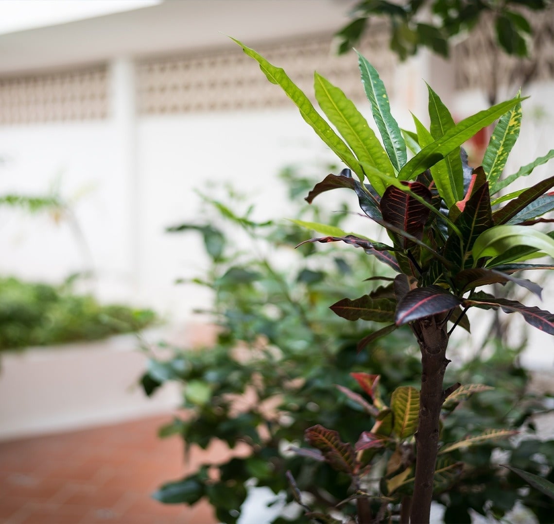 a balcony with a hammock and umbrella overlooking the ocean
