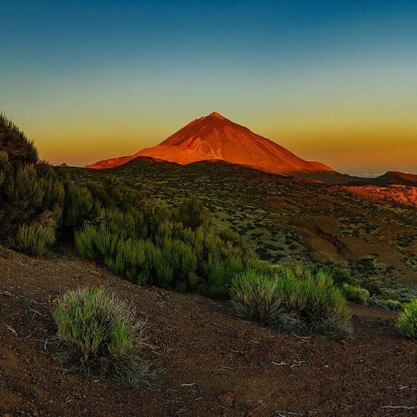 un grand centre commercial avec un toboggan à l' extérieur