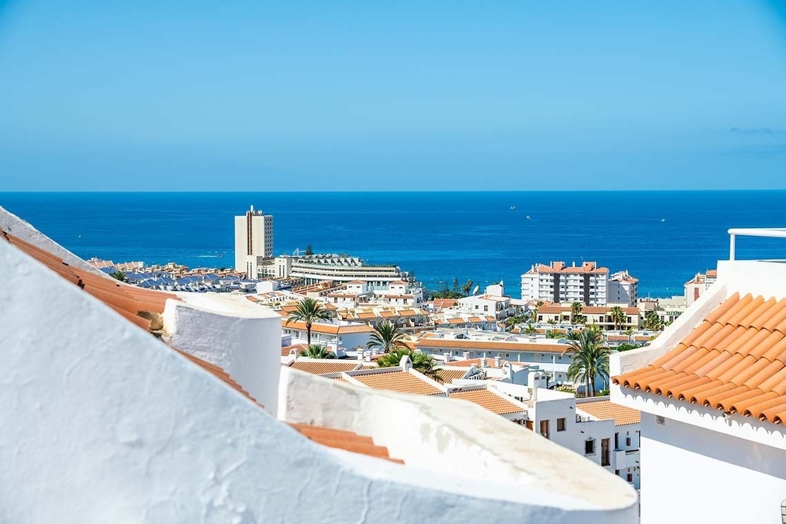 a view of a city with the ocean in the background