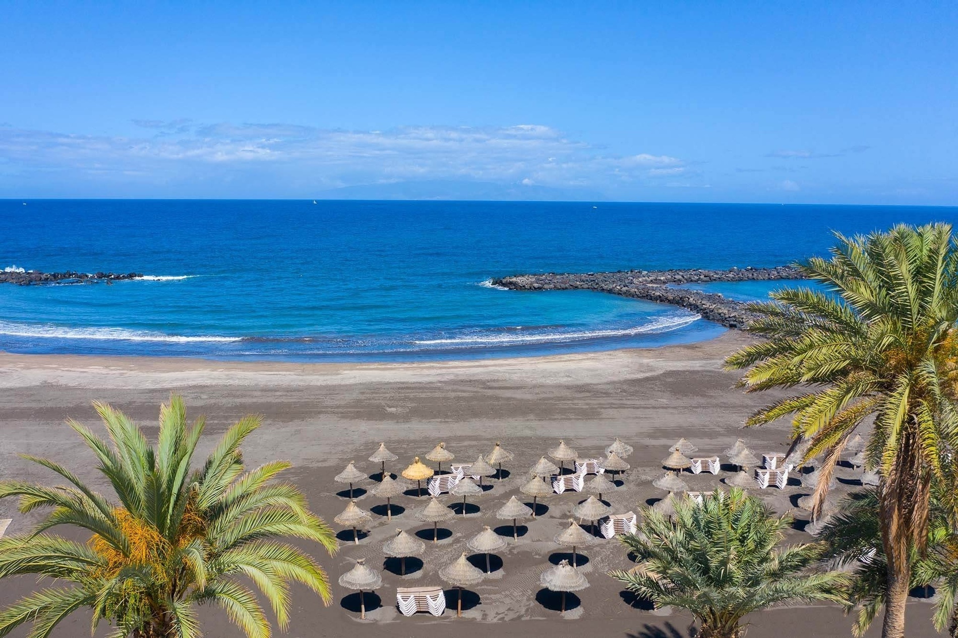 a beach with a lot of umbrellas and palm trees