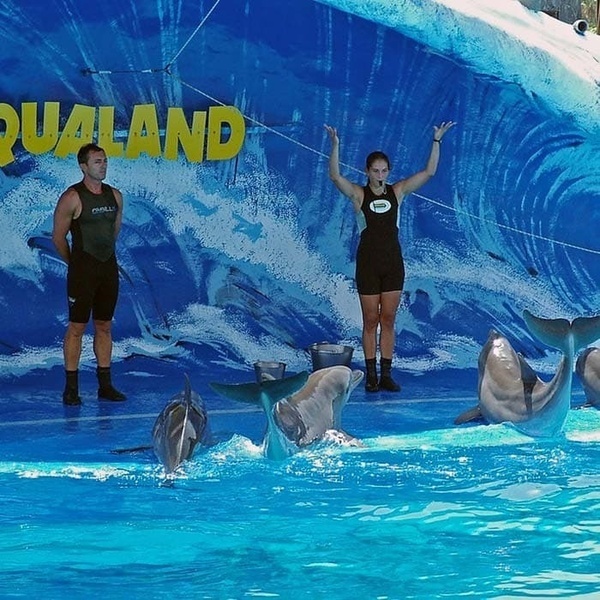 un uomo e una donna in piedi accanto a un gruppo di delfini in una piscina con il logo aqualand sullo sfondo