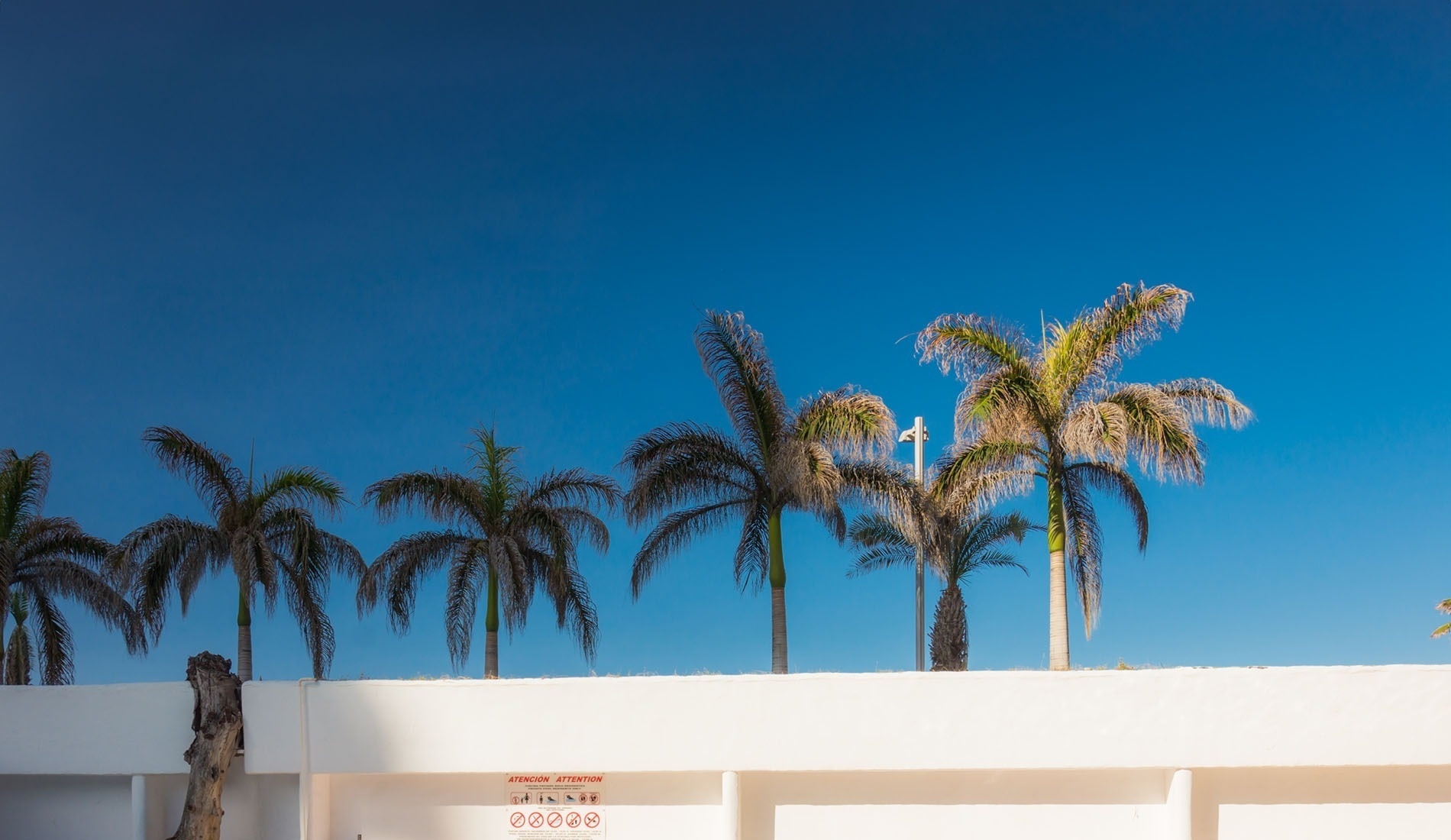 Liegestühle und Sonnenschirme umgeben einen großen Swimmingpool