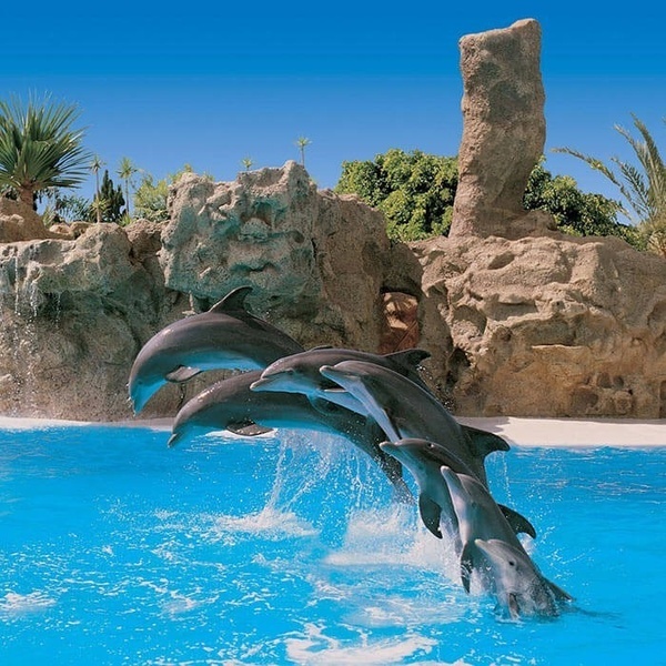 escaleras mecánicas que conducen a la plaza del duque