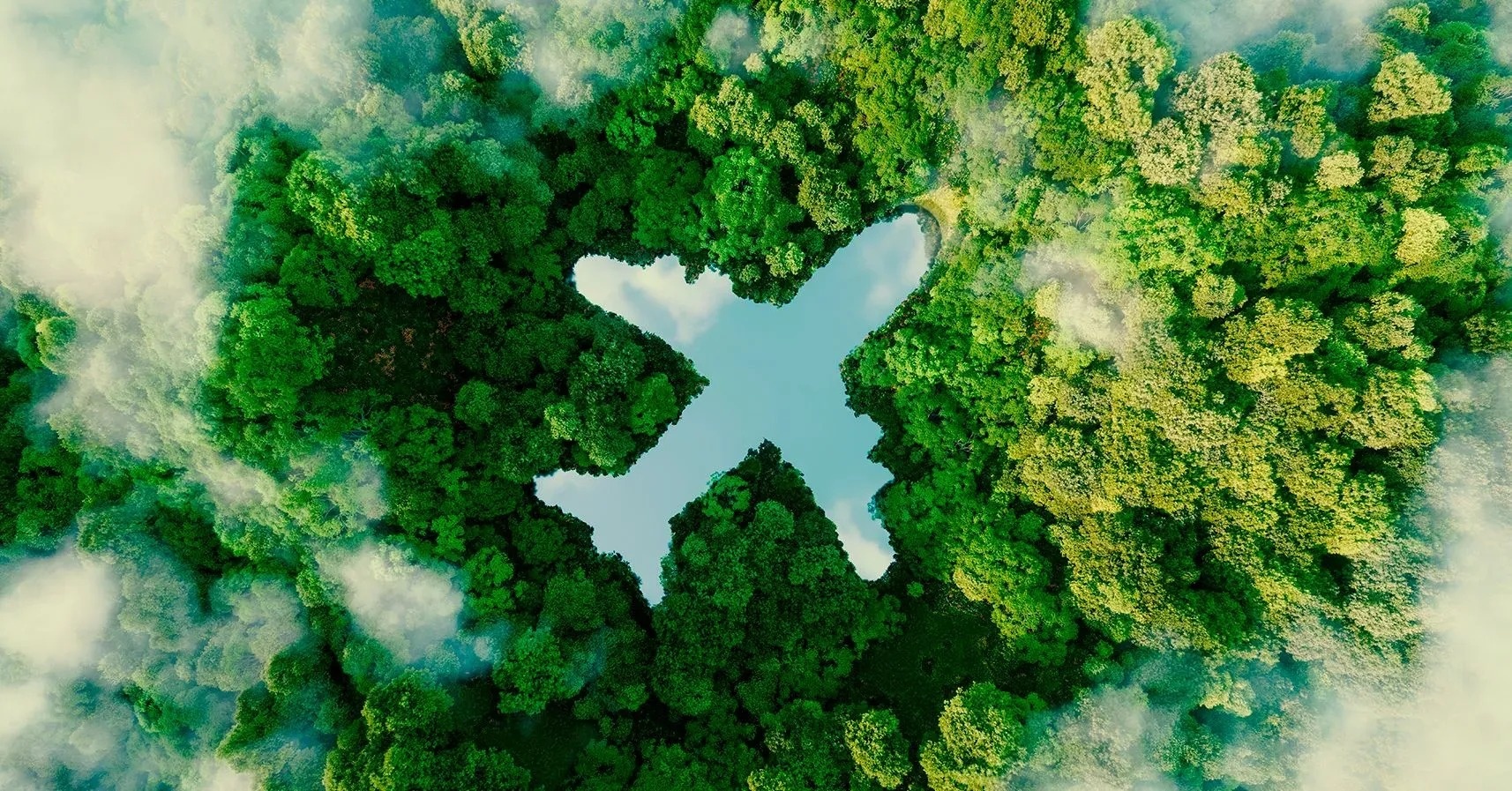 una vista aérea de un bosque verde con un avión en el cielo