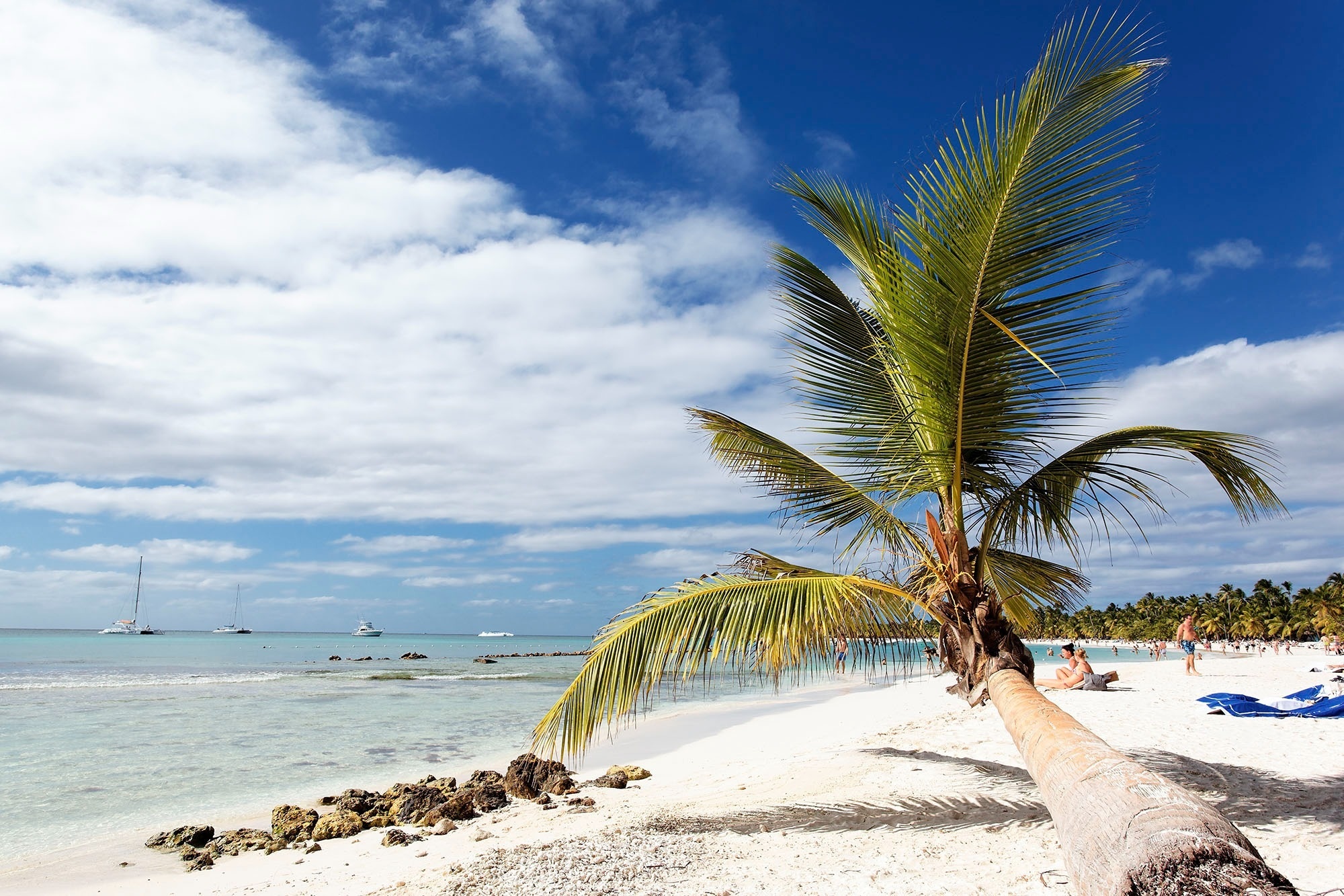 Playa del Carmen: El Corazón de la Riviera Maya