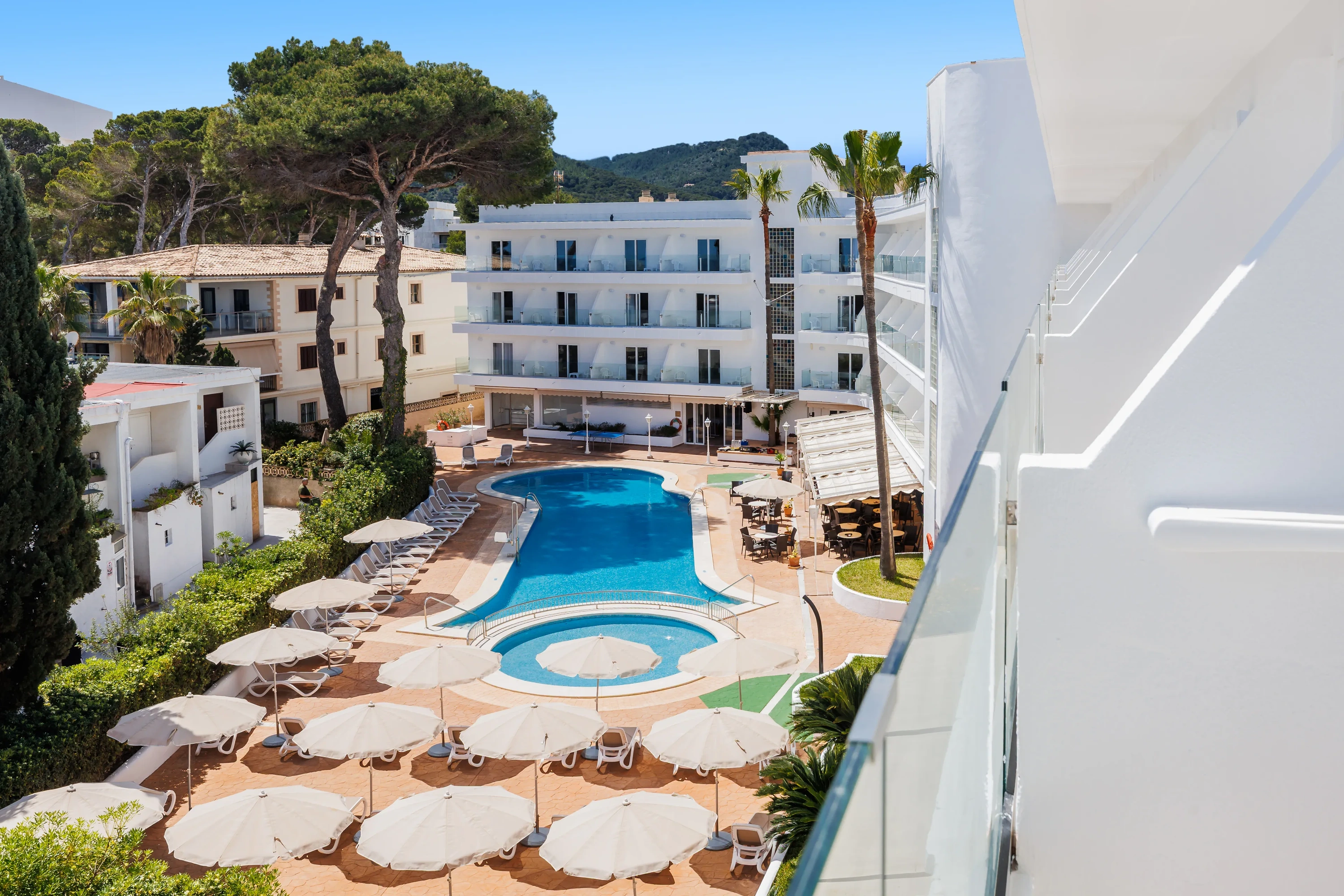 O7 HOTELS: Corporativa | Pool and sun loungers at resort with palm trees