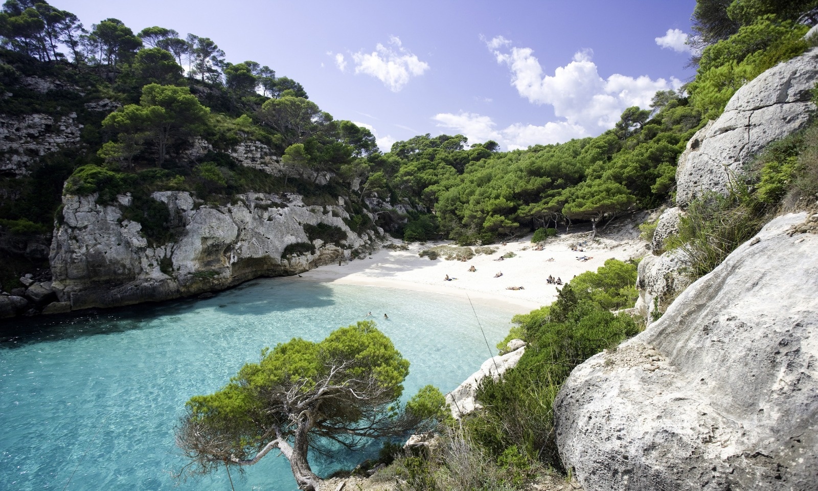 un grup de dones estan fent exercici en una piscina amb manuelles