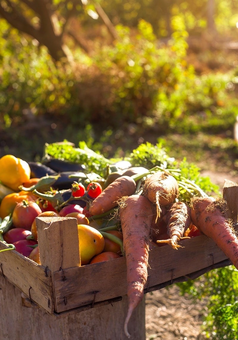 une femme est allongée sur un lit enveloppée d' une serviette blanche