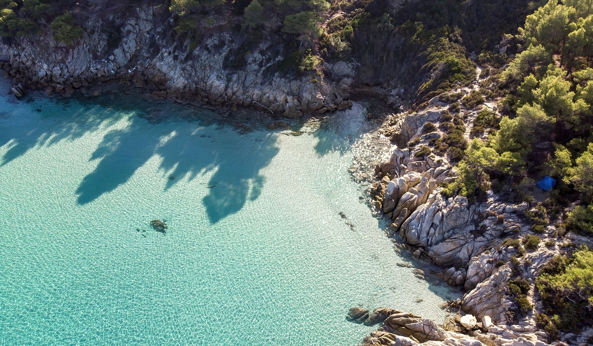 A man and a child immerse themselves in the crystal-clear waters of our sustainable hotels.
