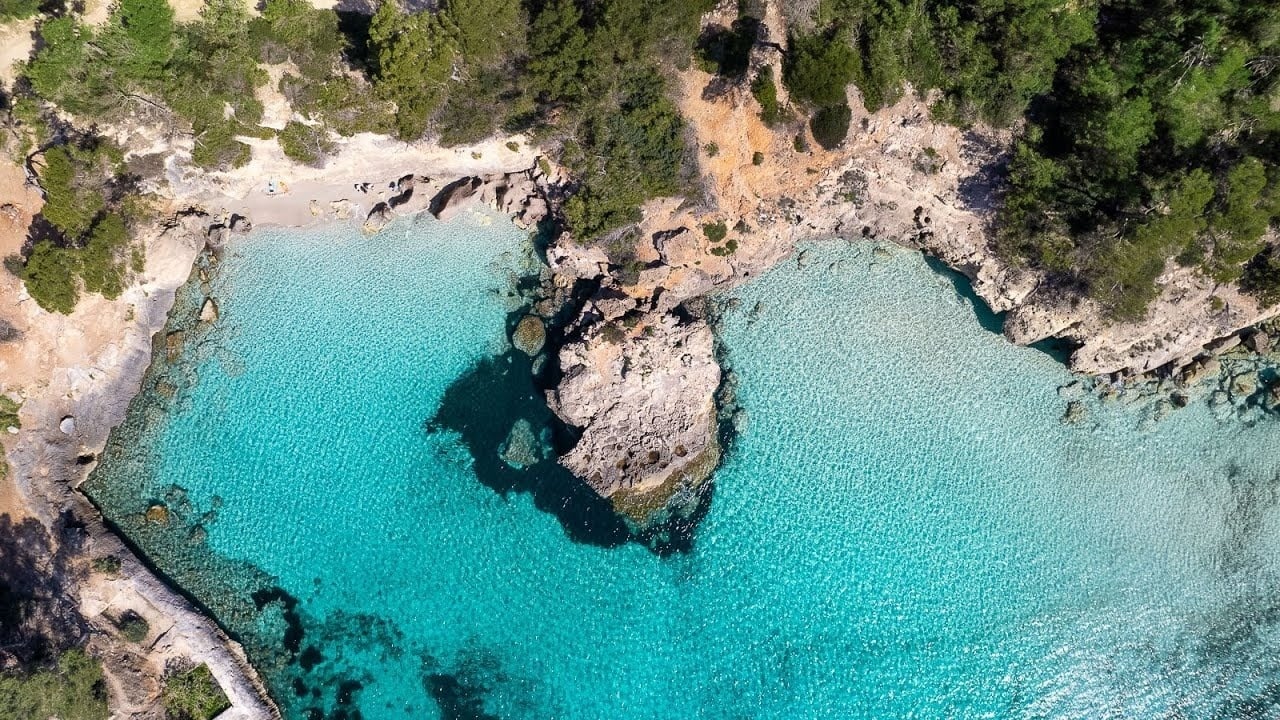 un grup de dones estan fent exercici en una piscina amb manuelles