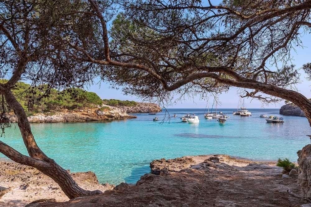 a glass of red liquid with a straw on the beach