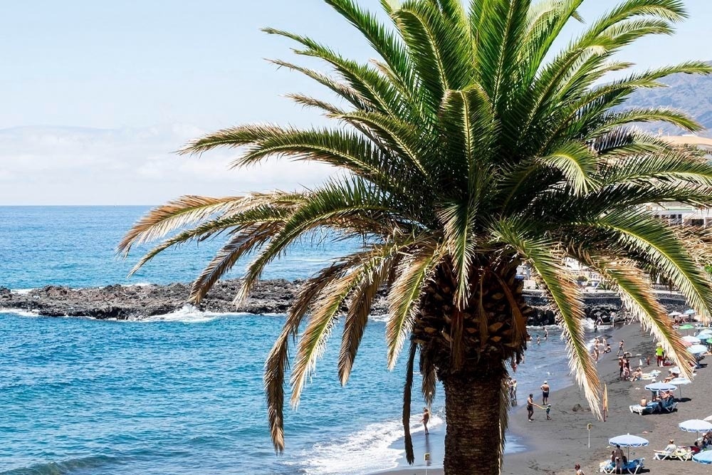 a glass of red liquid with a straw on the beach