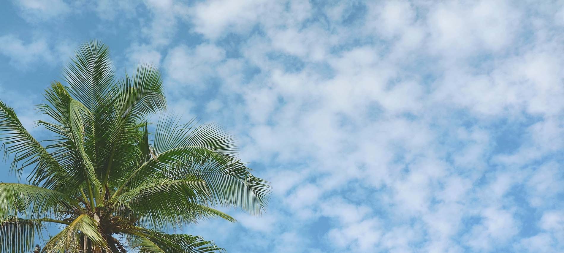 una mujer recibe un masaje en un spa rodeado de velas