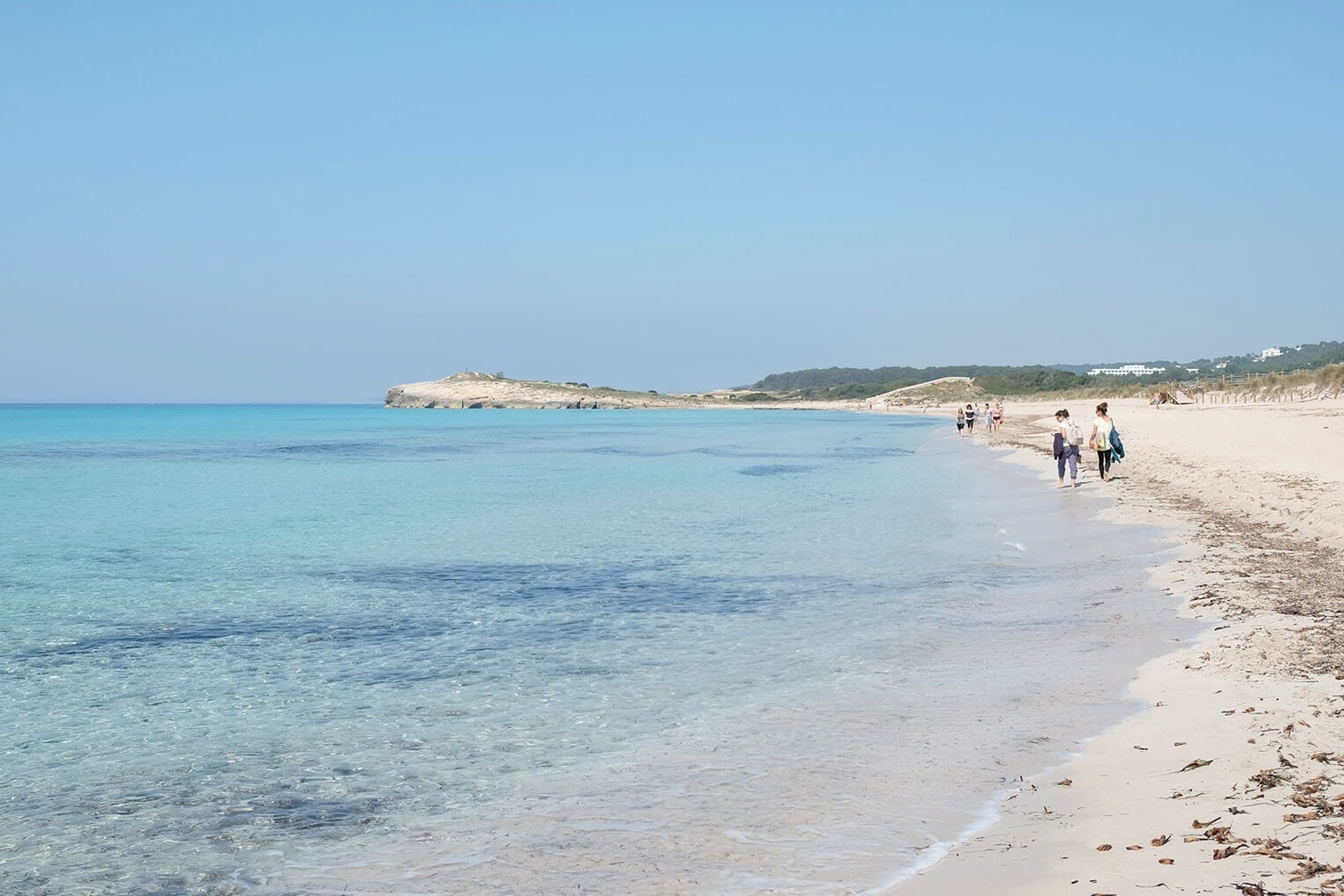 un grup de dones estan fent exercici en una piscina amb manuelles