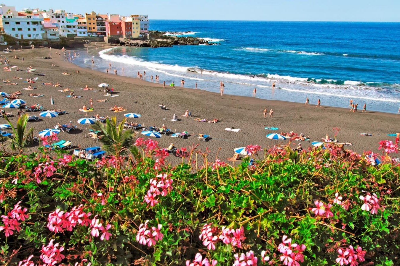 a group of women are lifting dumbbells in a swimming pool