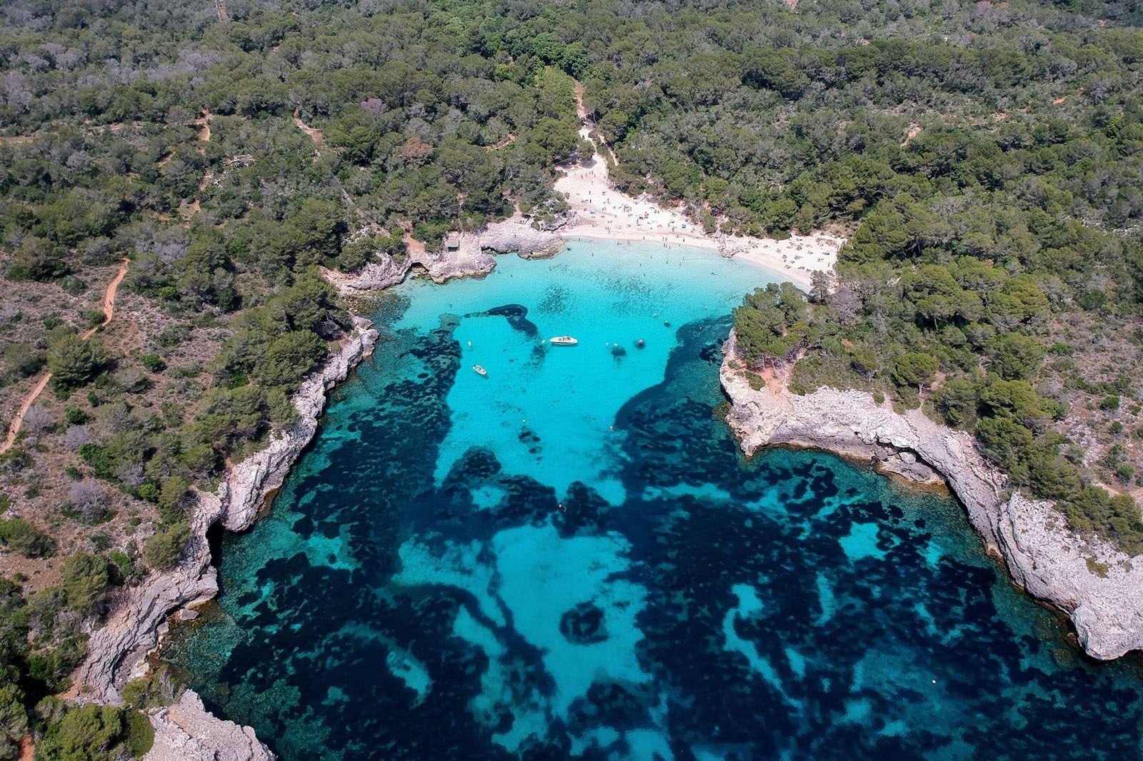 un grup de dones estan fent exercici en una piscina amb manuelles