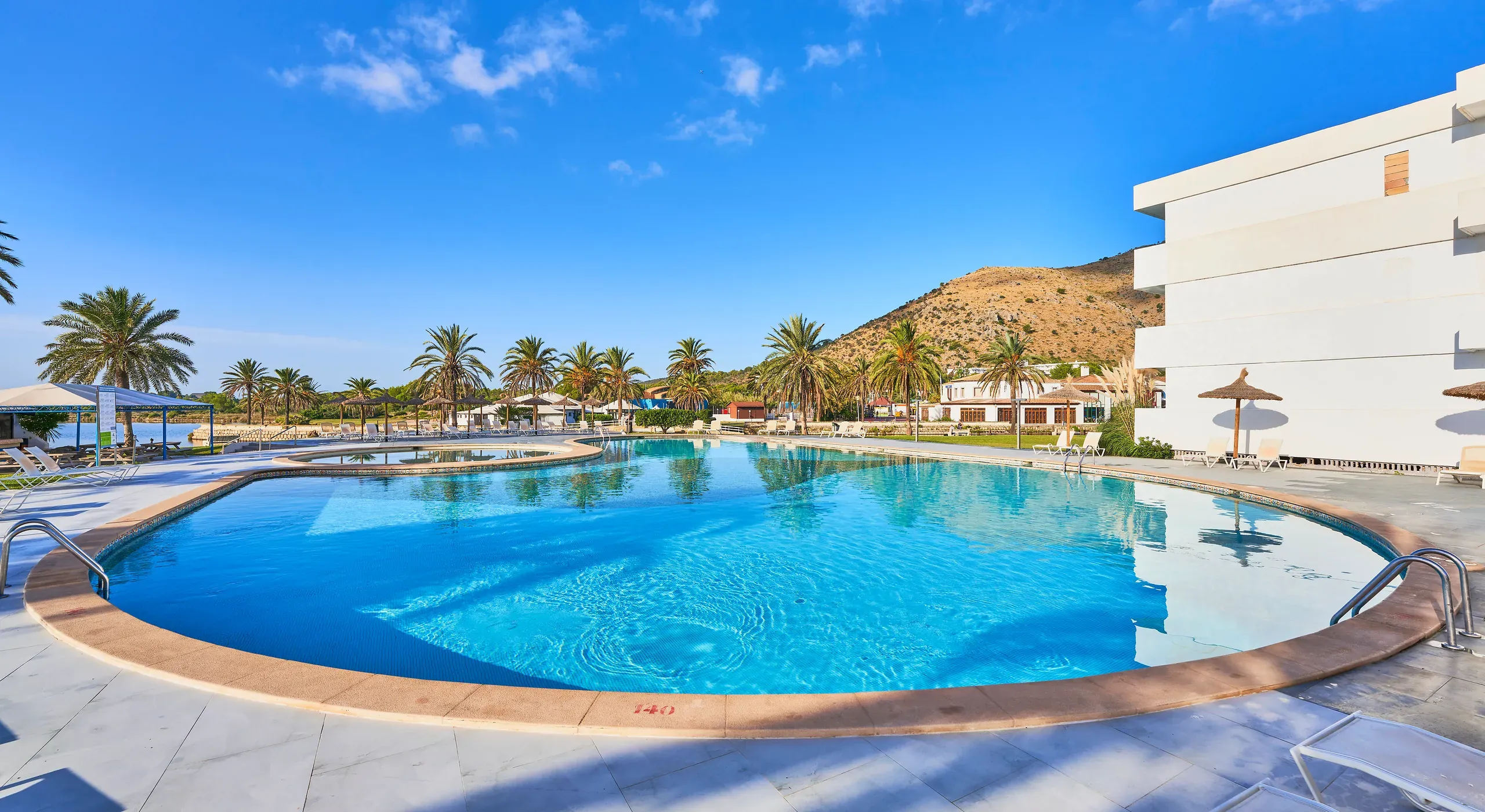 Piscina panoramica con palme e lettini prendisole, ideale per O7 Be Klub Kalma | O7 Hotels | Maiorca | Sito ufficiale.