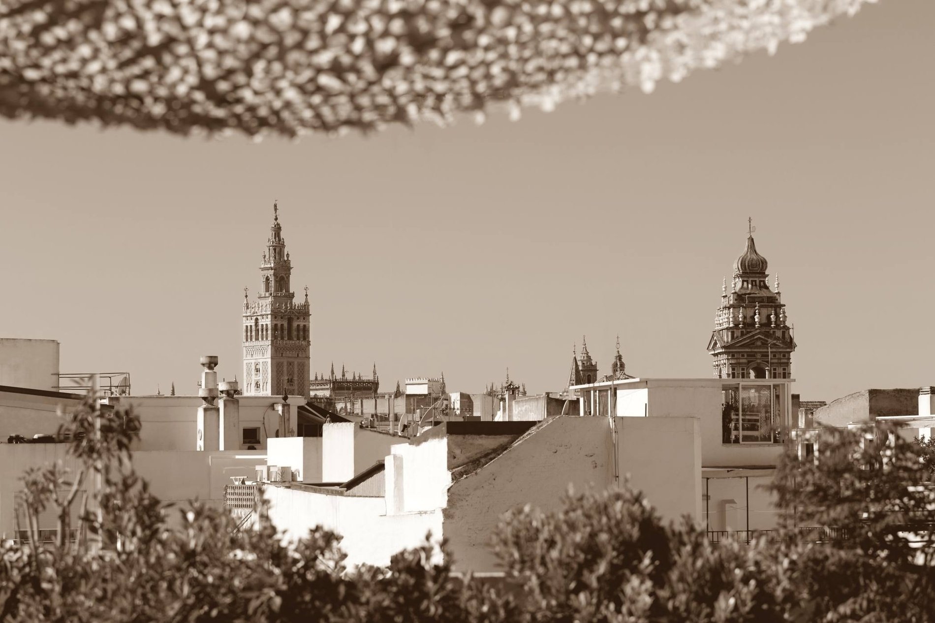 a black and white photo of a city with a tower in the background=s1900