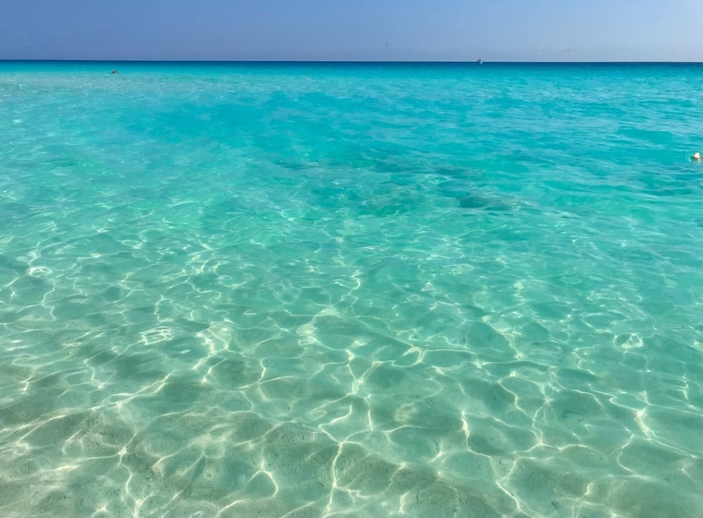 a person is swimming in the ocean and the water is very clear