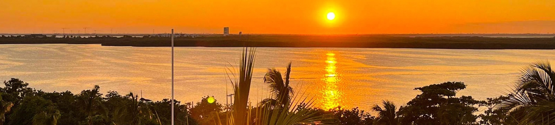 el sol se pone sobre un río con palmeras en primer plano