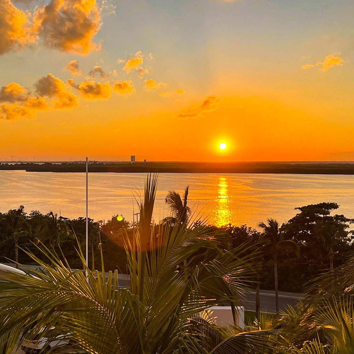 a sunset over a body of water with palm trees in the foreground